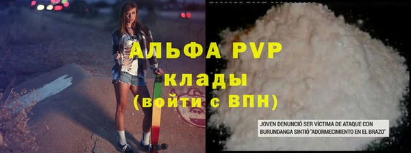 PSILOCYBIN Балабаново