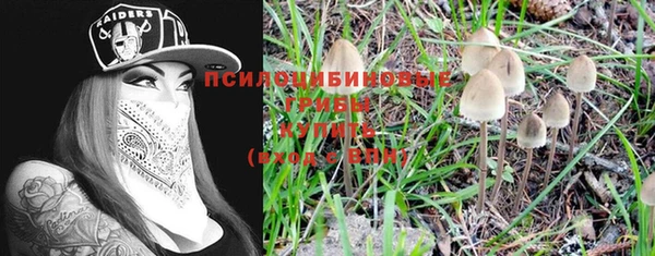 спайс Баксан