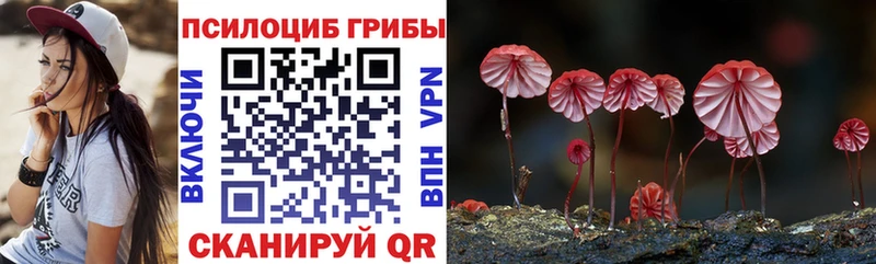 Галлюциногенные грибы Psilocybine cubensis KRAKEN ТОР Курильск